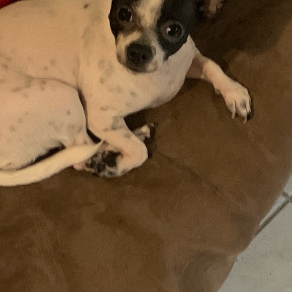 Meet your Posher, Thomas - Picture 13 of 16